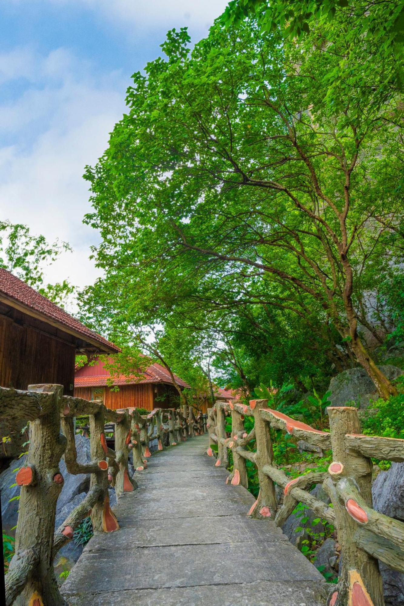 Lotus Field Homestay Ninh Binh Exterior foto