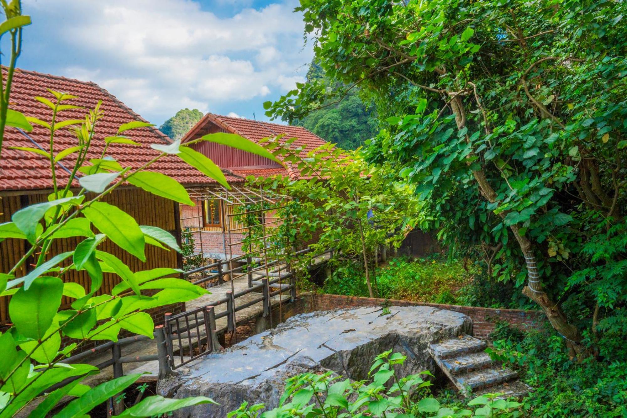 Lotus Field Homestay Ninh Binh Exterior foto